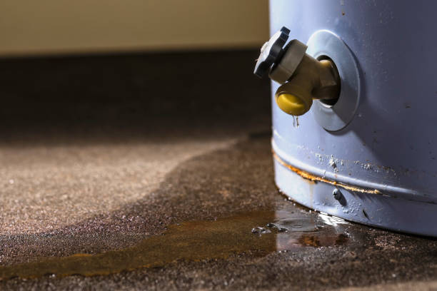  Harbor Beach, MI Water damage restoration Pros