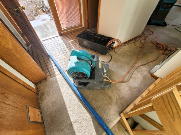 Best 24-hour water damage restoration  in Harbor Beach, MI