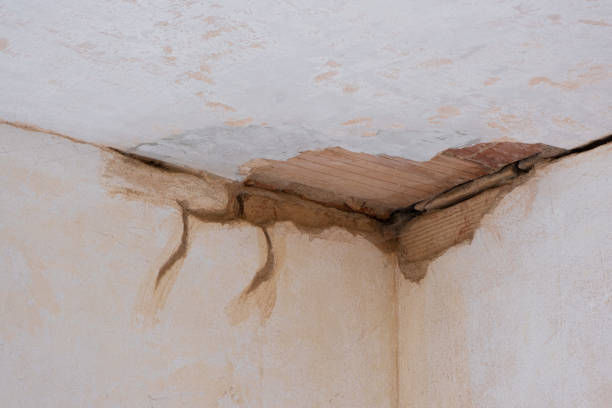 Best Carpet water damage restoration  in Harbor Beach, MI
