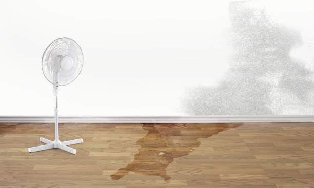 Best 24/7 water damage repair  in Harbor Beach, MI