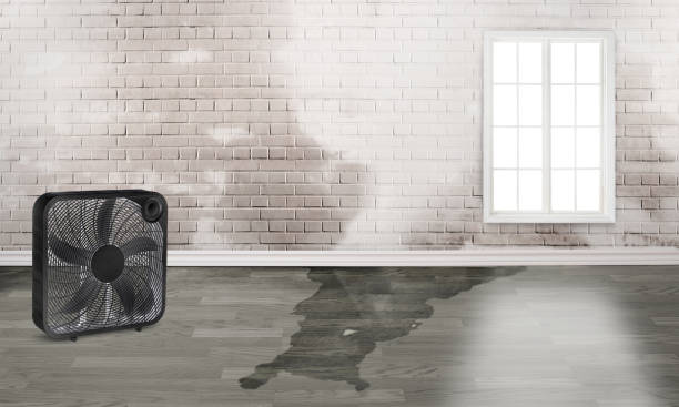 Sewage cleanup and water damage restoration in Harbor Beach, MI