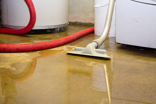 Best Water damage cleanup near me  in Harbor Beach, MI