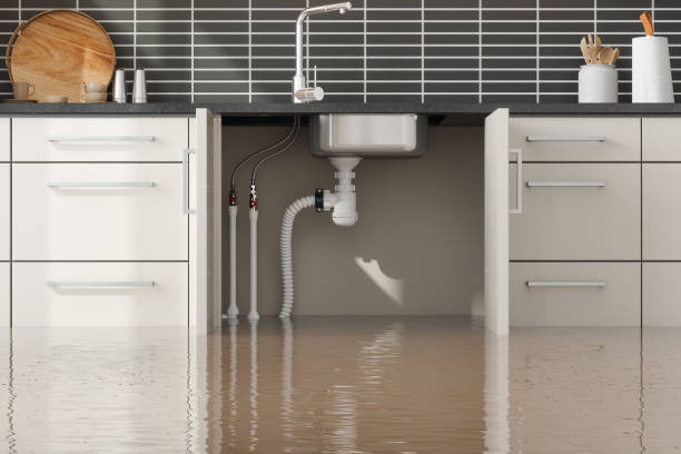 Best Basement water damage restoration  in Harbor Beach, MI