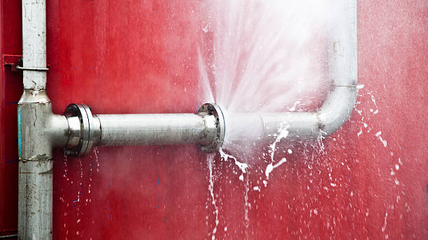 Best Flood restoration services  in Harbor Beach, MI